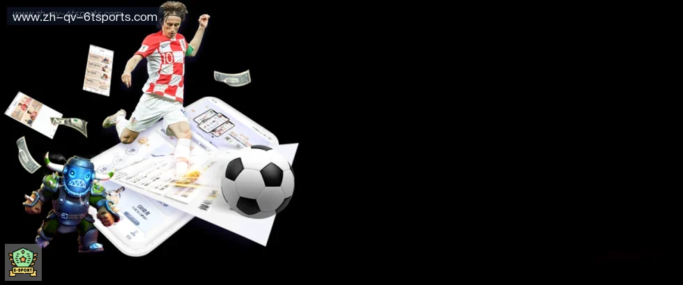 6T体育 banner